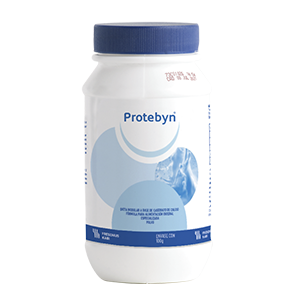 Protebyn